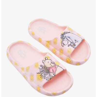 Disney Winnie The Pooh Friends Slides